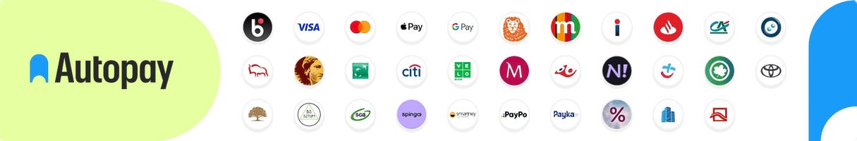 Nous acceptons les paiements en ligne – bannière informative